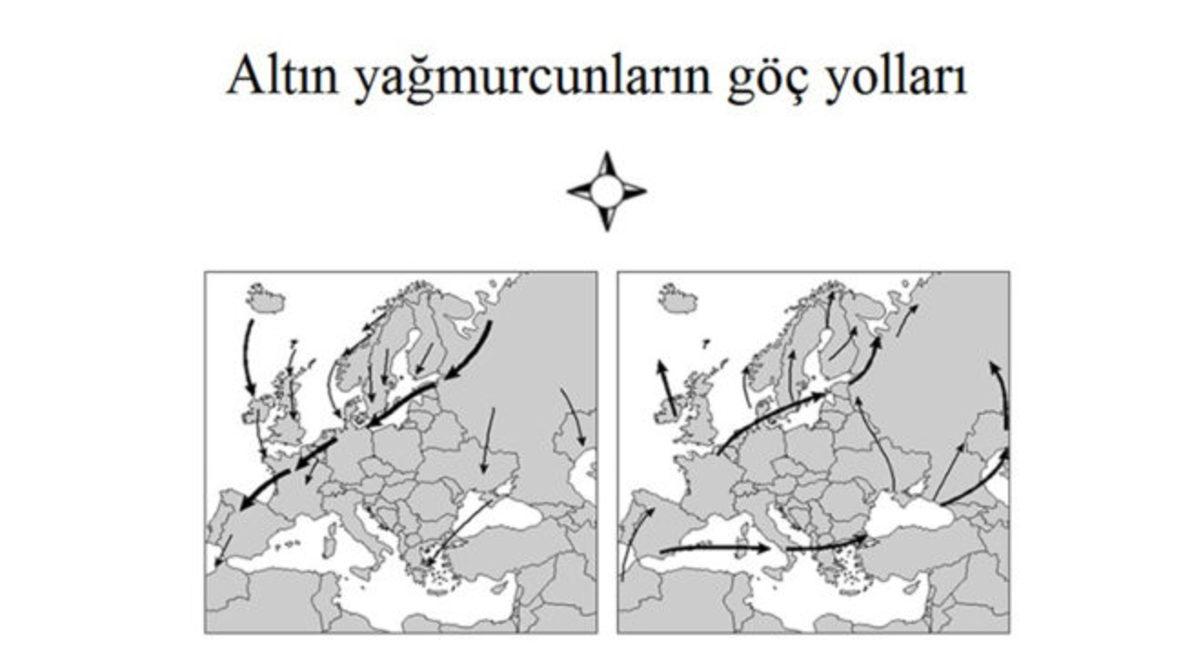 Dünya Gerisinde Kaldığımız PISA Testini Çözebilecek Misiniz?