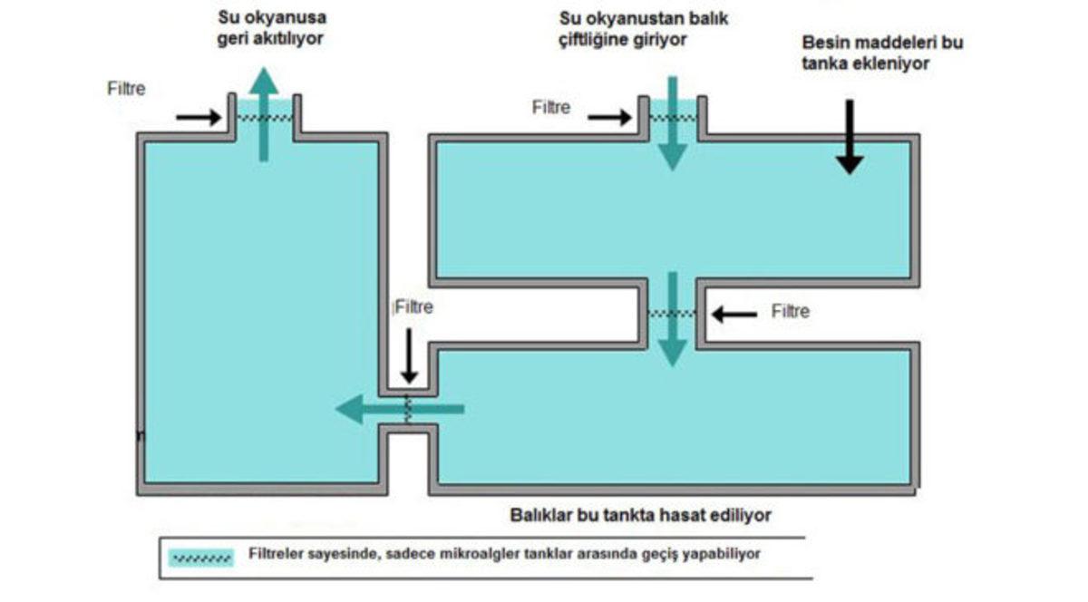Dünya Gerisinde Kaldığımız PISA Testini Çözebilecek Misiniz?