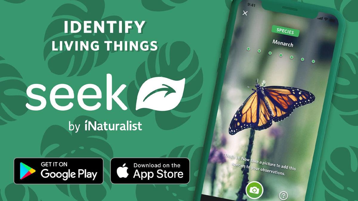 Çocuğunuzun Eğitimine Destek Olacak En İyi Eğitici Mobil Uygulamalar