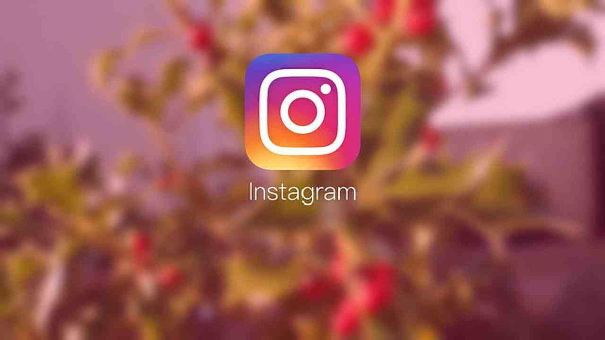 Göz Alıcı Bir Instagram Profil Fotoğrafı İçin Bilmeniz Gereken Her Şey