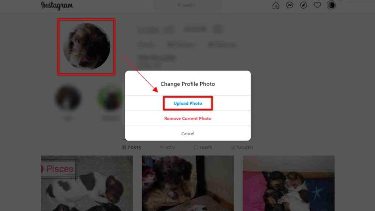 Göz Alıcı Bir Instagram Profil Fotoğrafı İçin Bilmeniz Gereken Her Şey