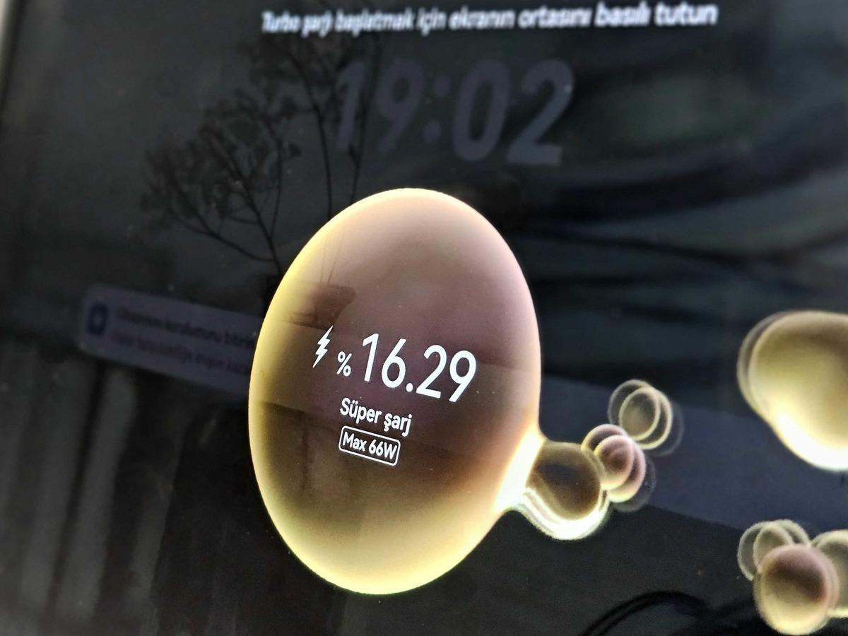 1000143693 1000143693