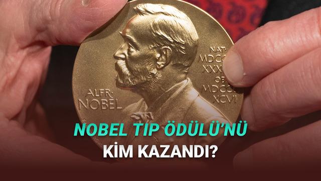 2025 Nobel Tıp Ödülü'nün Kazananları Belli Oldu: Peki Ne Yaptılar?