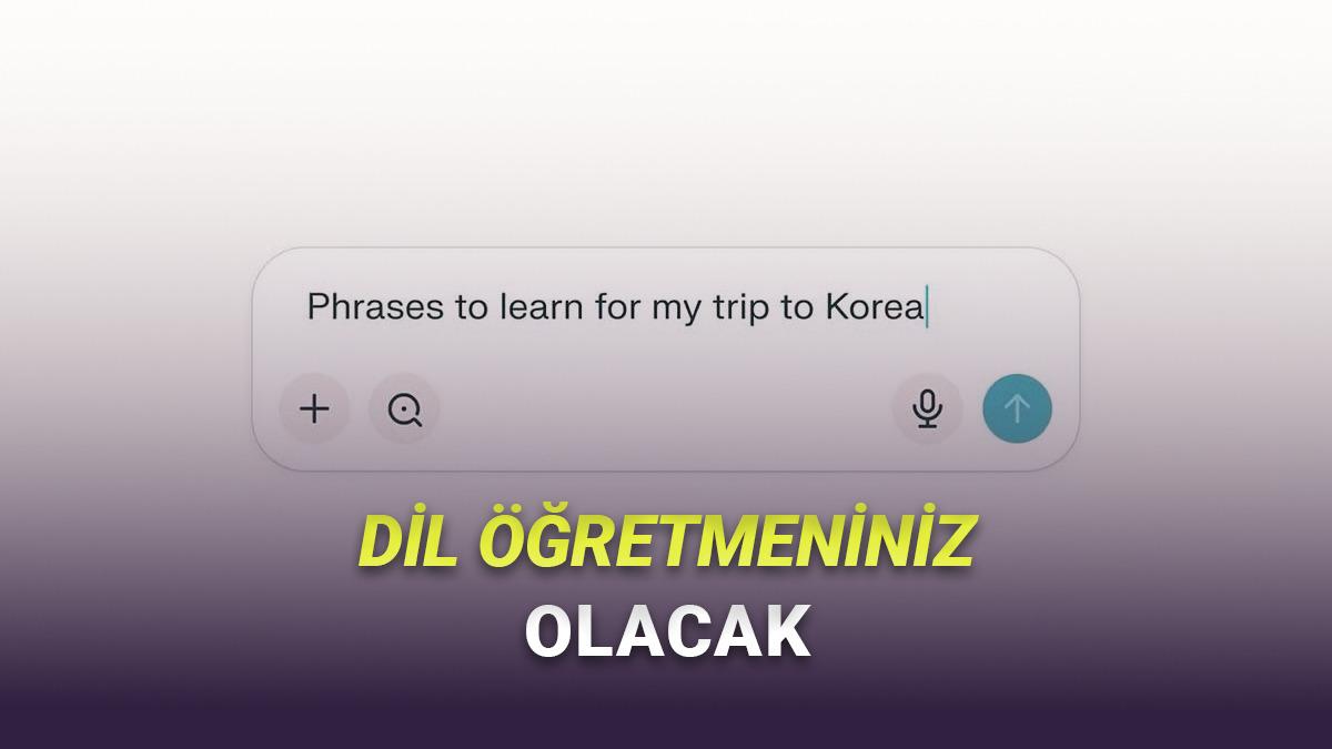 Perplexity AI'a Çok İşinize Yarayacak "Dil Öğrenme" Özelliği Geldi