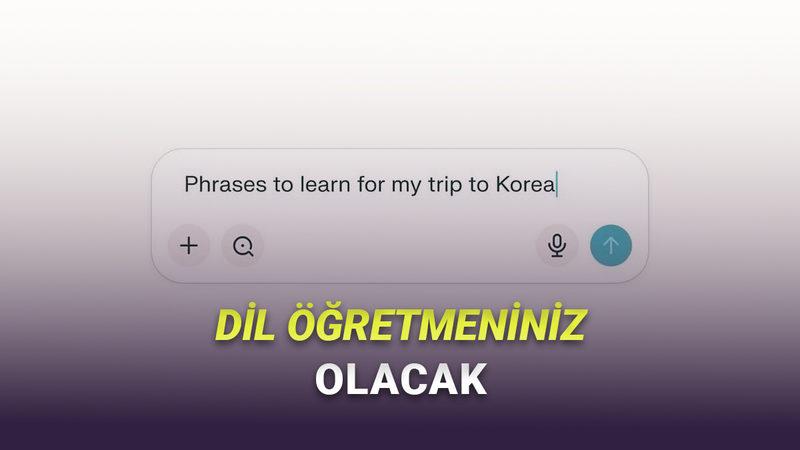 Perplexity AI'a Çok İşinize Yarayacak "Dil Öğrenme" Özelliği Geldi