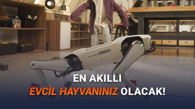 Dünyanın İlk Ev Tipi Robot Köpeği Duyuruldu: İşte iPhone'dan Bile Ucuz Fiyatı! 