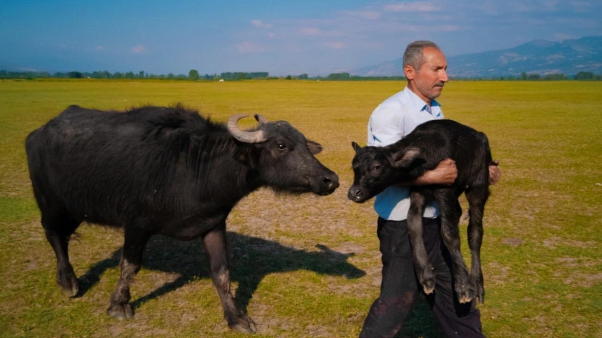 Huawei XMAGE 2025'te Tokatlı Mehmet Emin Coruş Dünya İkincisi Oldu