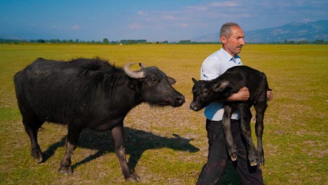 Huawei XMAGE 2025'te Tokatlı Mehmet Emin Coruş Dünya İkincisi Oldu