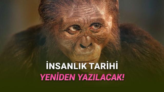 3,4 Milyon Yıl Önce Yaşamış Bir "İnsan Türü" Daha Olduğu Keşfedildi