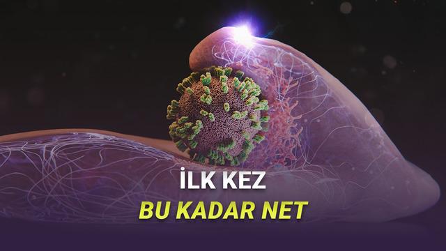 Grip Virüsünün Hücrelerimize Giriş Anı İlk Kez Görüntülendi [Video]