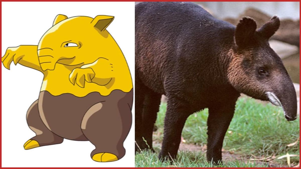 Aslında Gerçek Hayatta da Varolan 10 Pokemon!