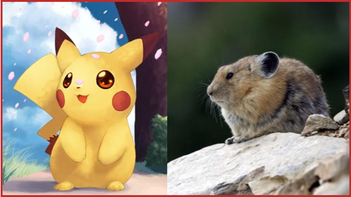 Aslında Gerçek Hayatta da Varolan 10 Pokemon!