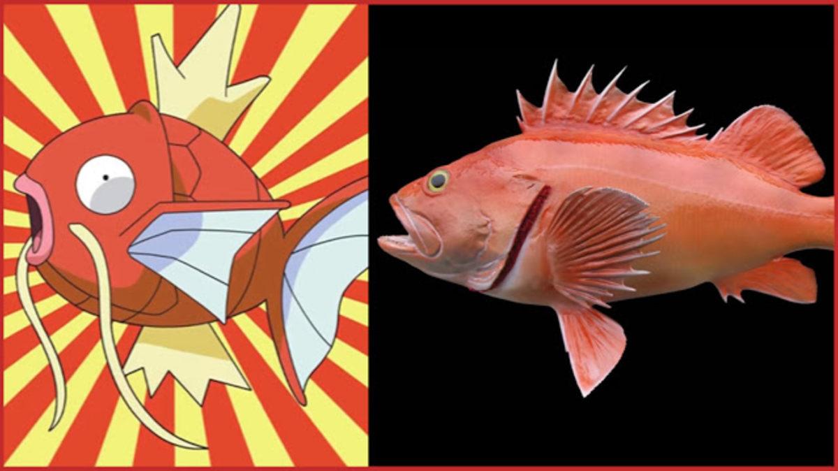 Aslında Gerçek Hayatta da Varolan 10 Pokemon!