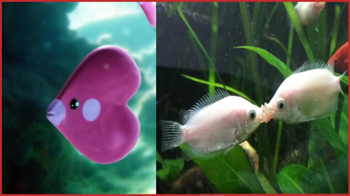 Aslında Gerçek Hayatta da Varolan 10 Pokemon!