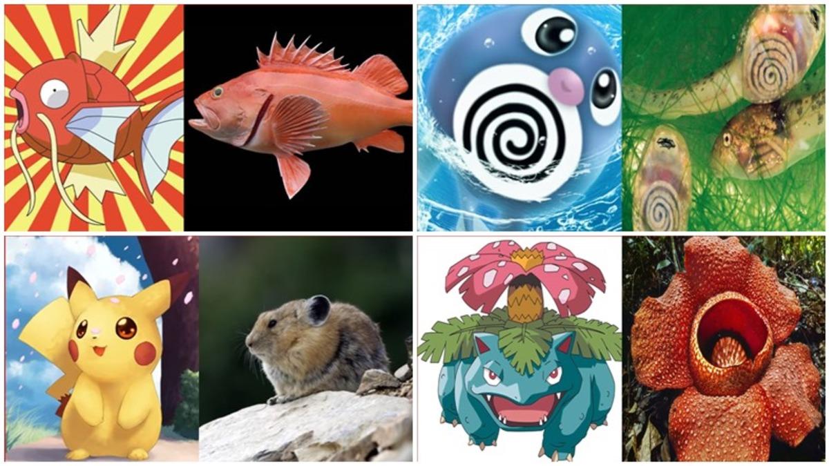 Aslında Gerçek Hayatta da Varolan 10 Pokemon!