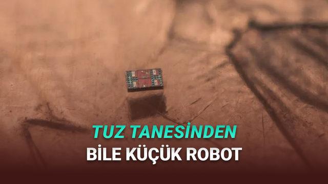 Tuz Tanesinden Bile Küçük Dünyanın En Küçük Otonom Robotları Geliştirildi