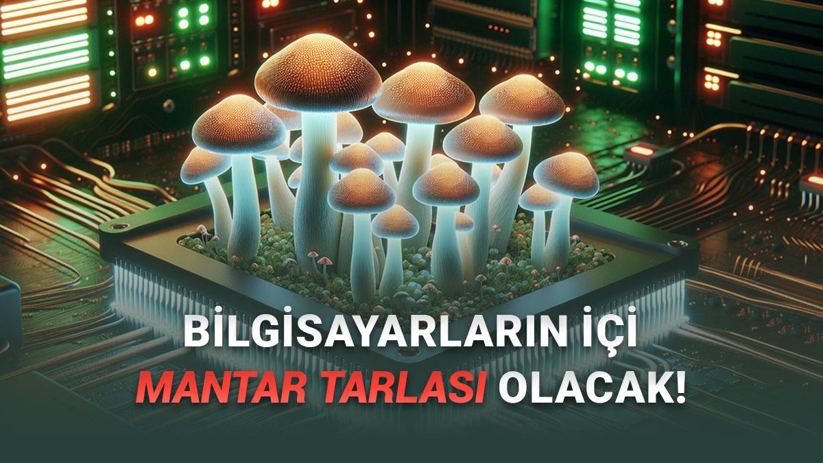 Mantarların Bilgisayarlarda RAM Olarak Kullanılabileceği Keşfedildi: Peki Nasıl?
