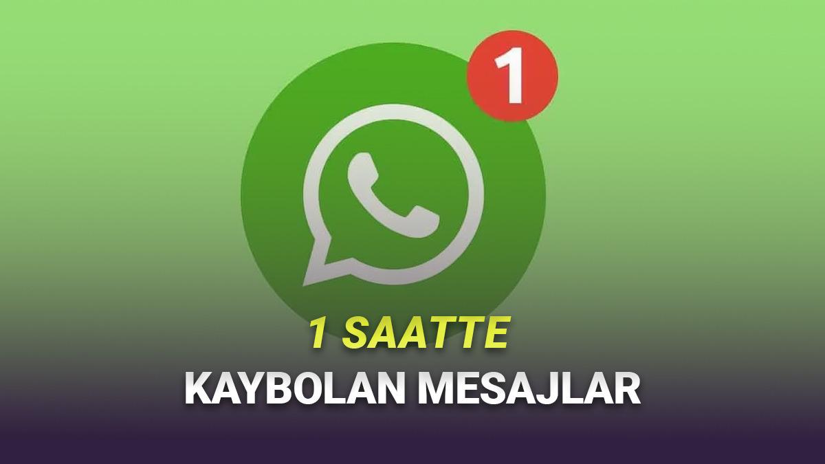 WhatsApp'a 1 Saatte Kaybolan Mesajlar Geliyor