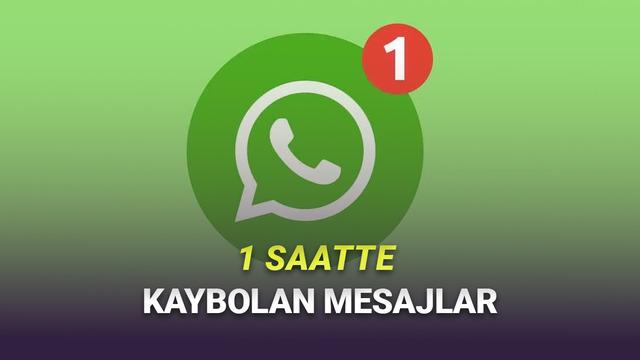 WhatsApp'a 1 Saatte Kaybolan Mesajlar Geliyor