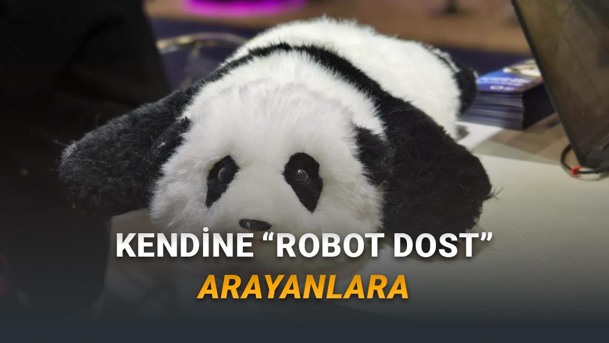 CES 2026: Yaşlılara Psikolojik Destek Sağlayabilen Panda Robot "AnAn" Tanıtıldı