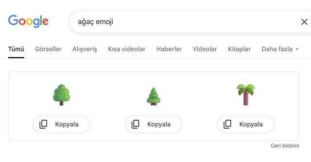 İstediğiniz emojiyi Google'da aratıp kopyalarak kullanabilirsiniz