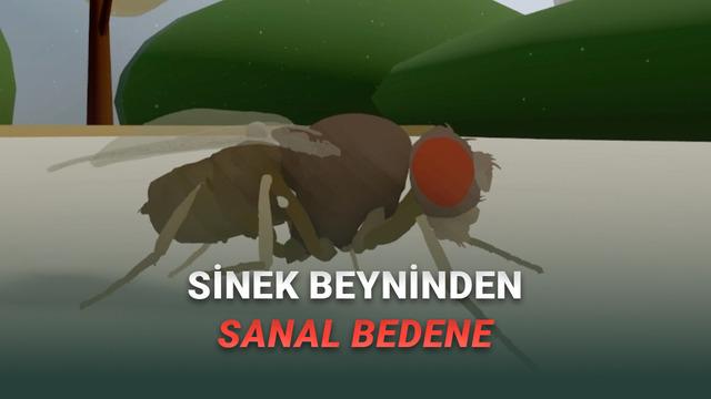 Bilim İnsanları İlk Kez 