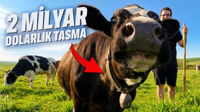 BU İNEK TASMASI NEDEN 2 MİLYAR DOLAR? | Teknoloji Gündemi