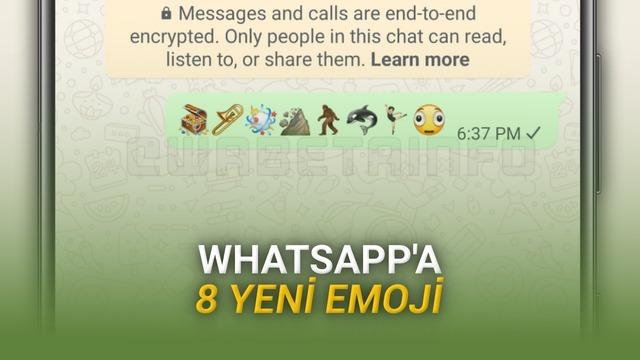 WhatsApp’a 8 Yeni Emoji Geliyor