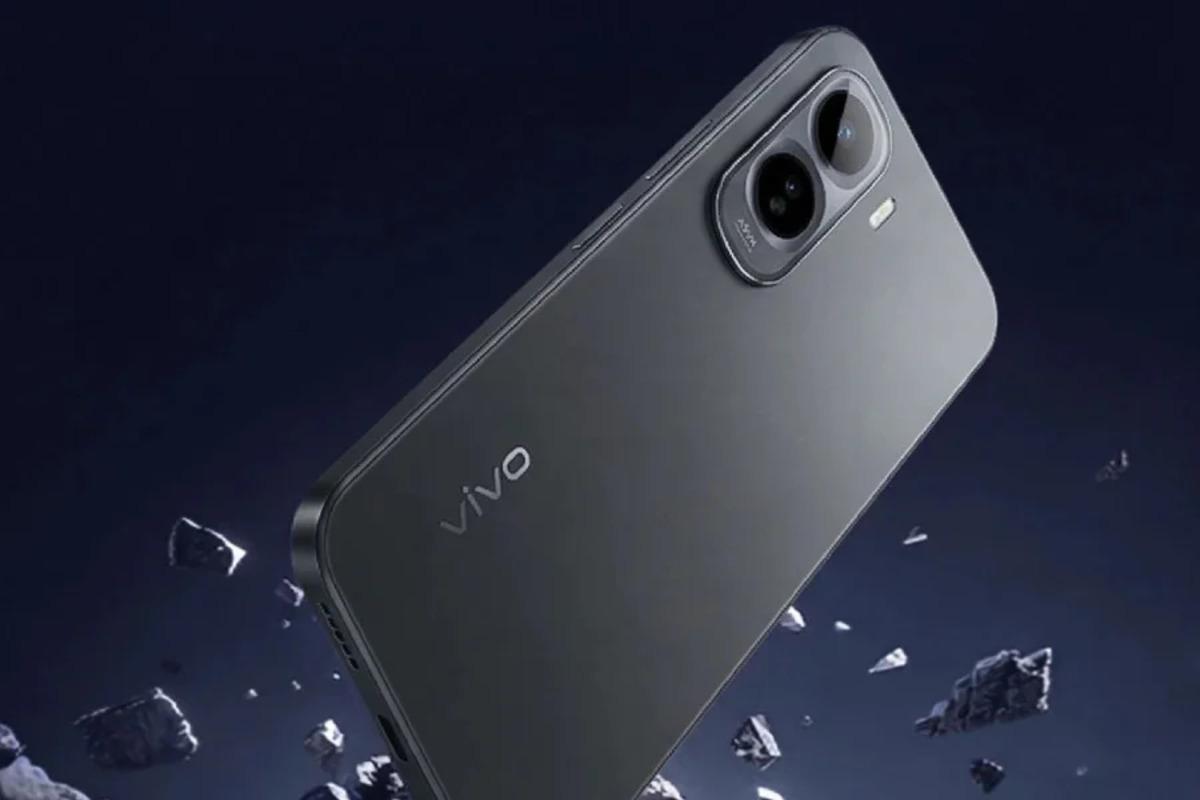 vivo2