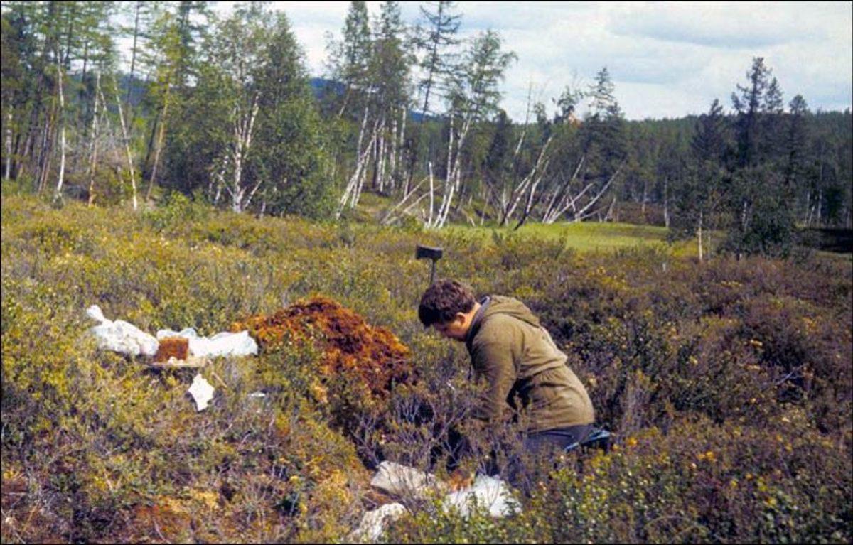 Dünya’nın Manyetik Alanını Değiştiren Gizemli Olay:Tunguska