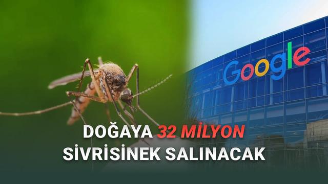 Google Doğaya 32 Milyon Özel Sivrisinek Salacak: Peki Neden?