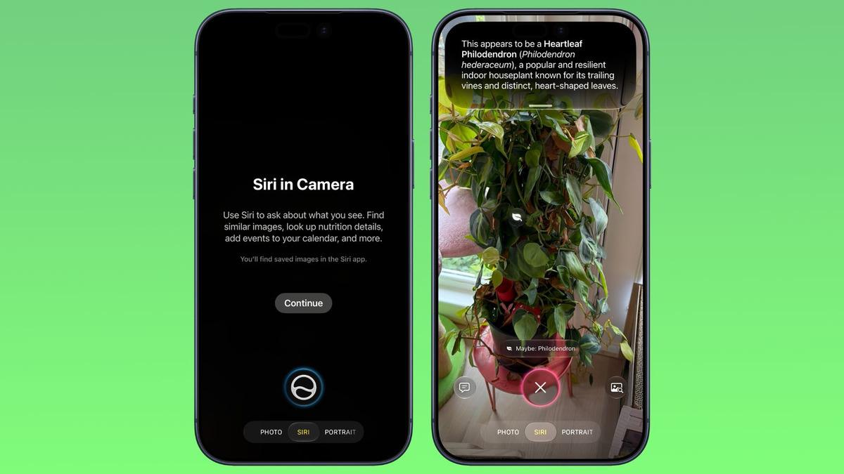 siri mode