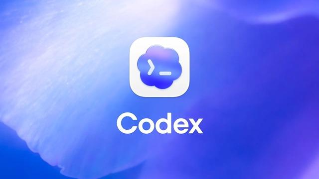 Codex Hatası Kullanıcının SSD'sinde 37 TB Veri Yazılmasına Neden Oldu
