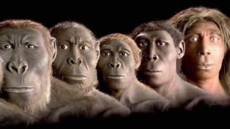 Yeni Lise Müfredatında Darwin’in Evrim Teorisi Yok