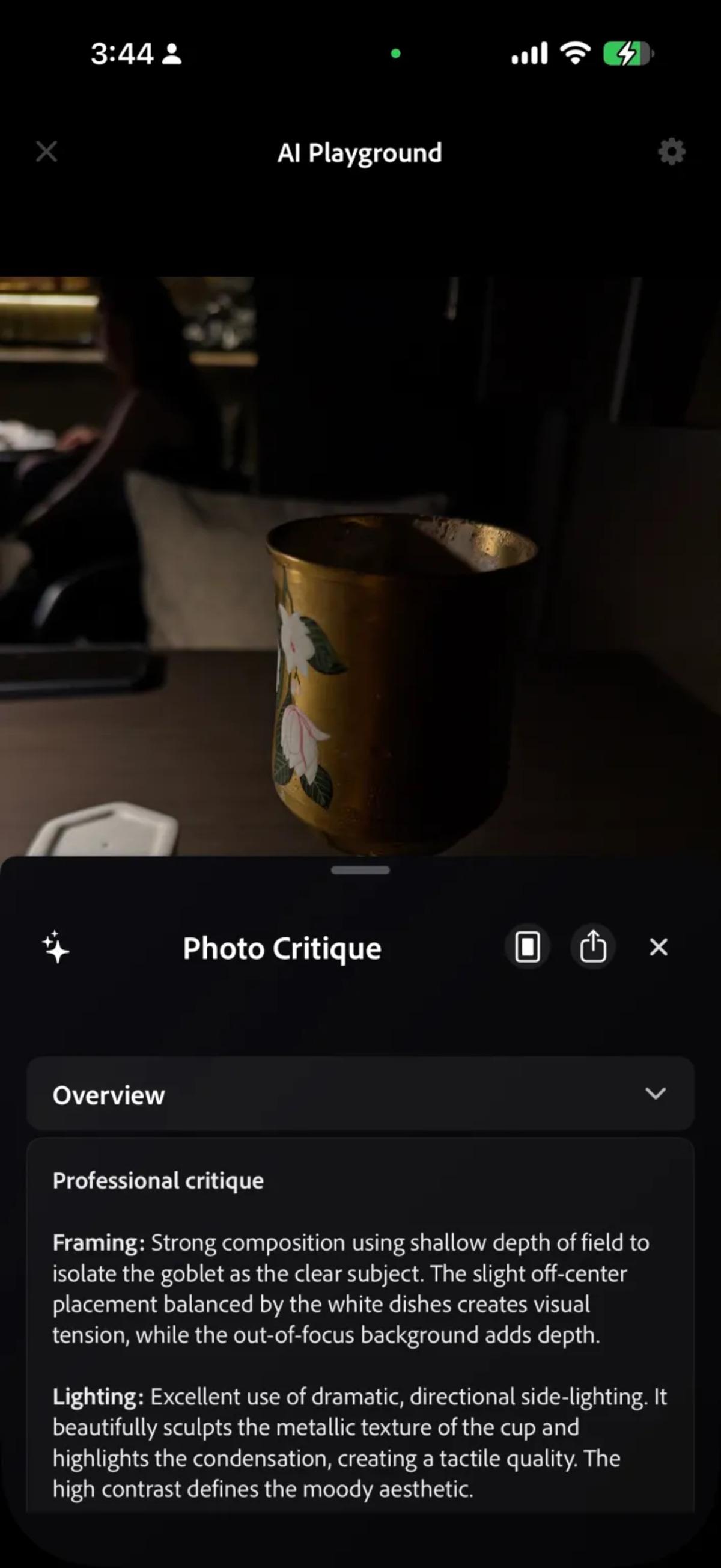 adobe1