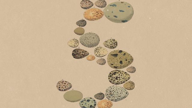 Anthropic, Yeni Amiral Gemisi Yapay Zekâ Modeli Opus 5'i Duyurdu: Neler Sunuyor?