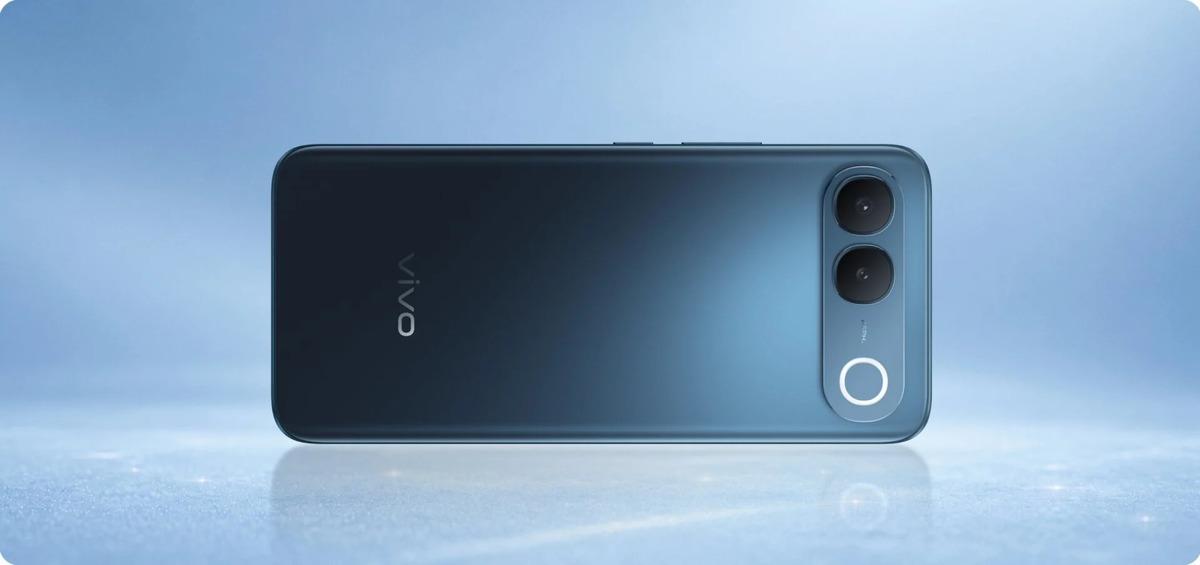 vivo2