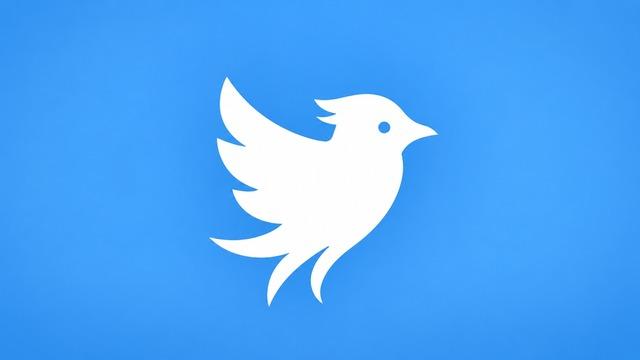 Yeni Sosyal Medya Platformunun Twitter Adını Kullanmasına İzin Verilmedi: Adı Artık "Tweet.App"