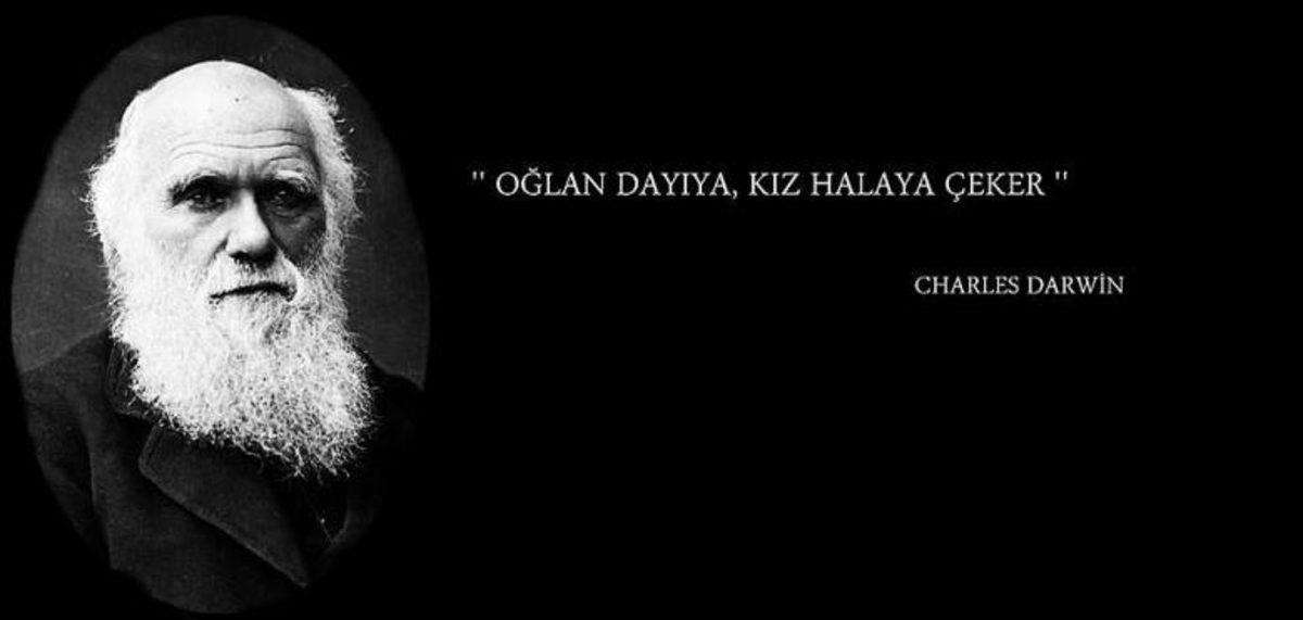 Sosyal Medya’da Özlü Sözleri Paylaşmaya Doyamayan İnsanların Zeka Seviyeleri Düşük!