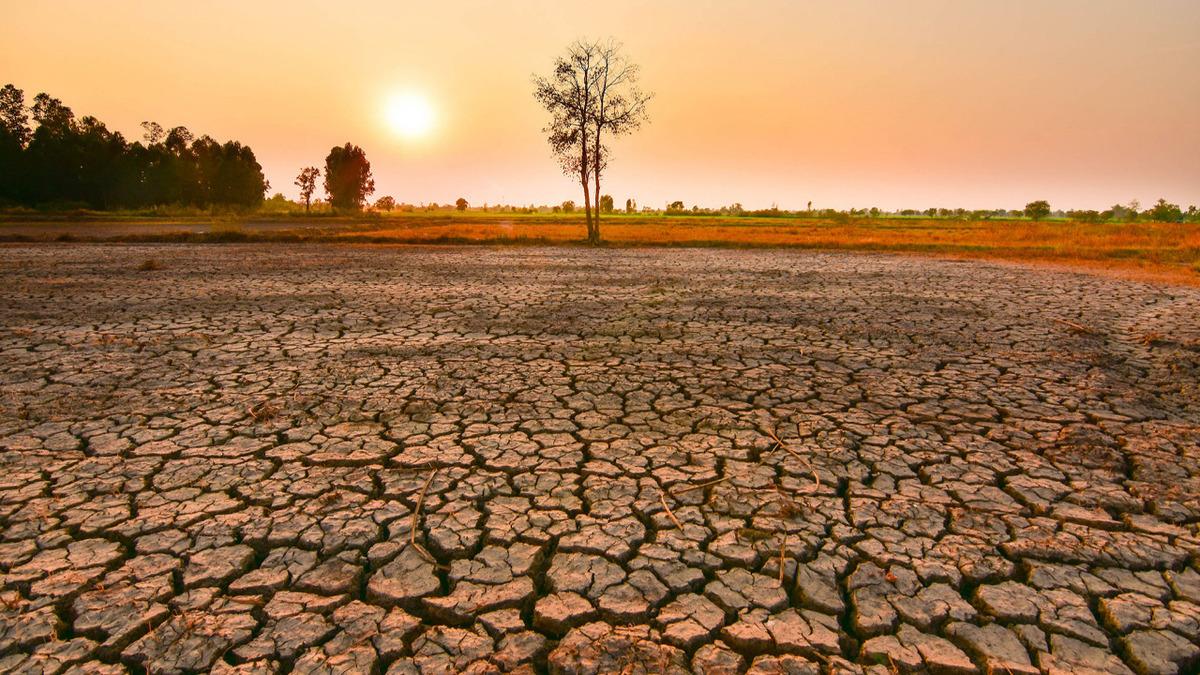 tarima-ve-gidaya-el-nino-tehdidi-aIoU