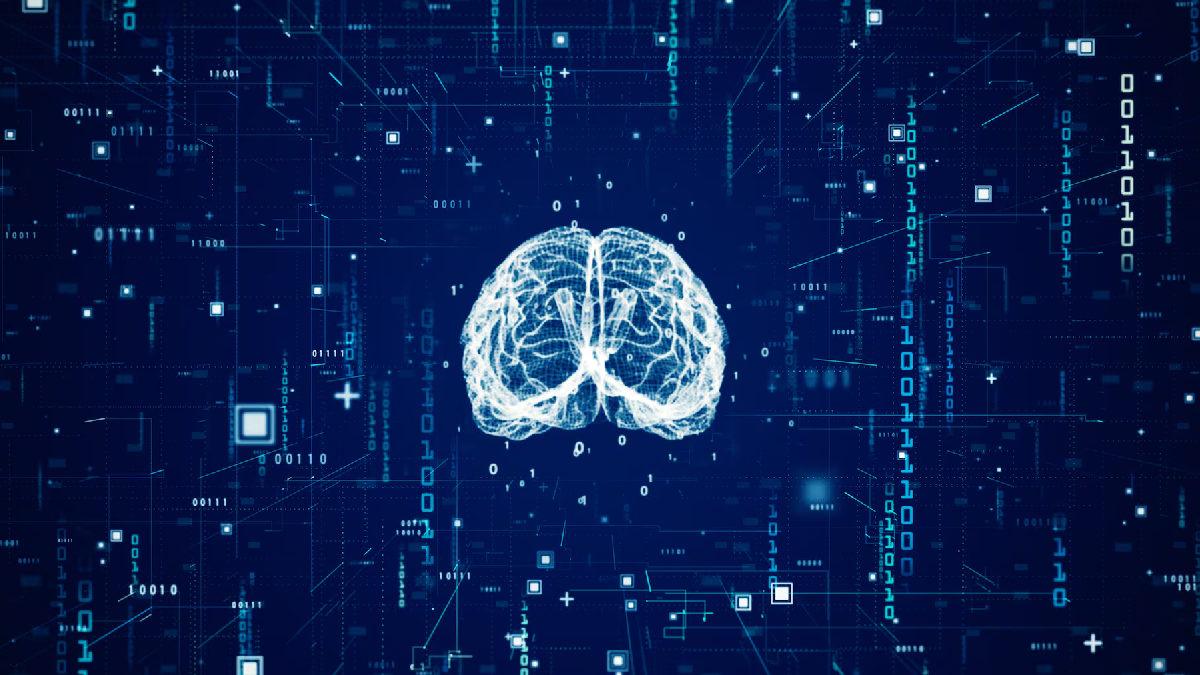 brain2