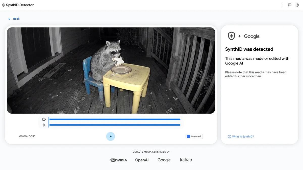 Raccoon_Video_SynthIDDetector.width-1200.format-webp