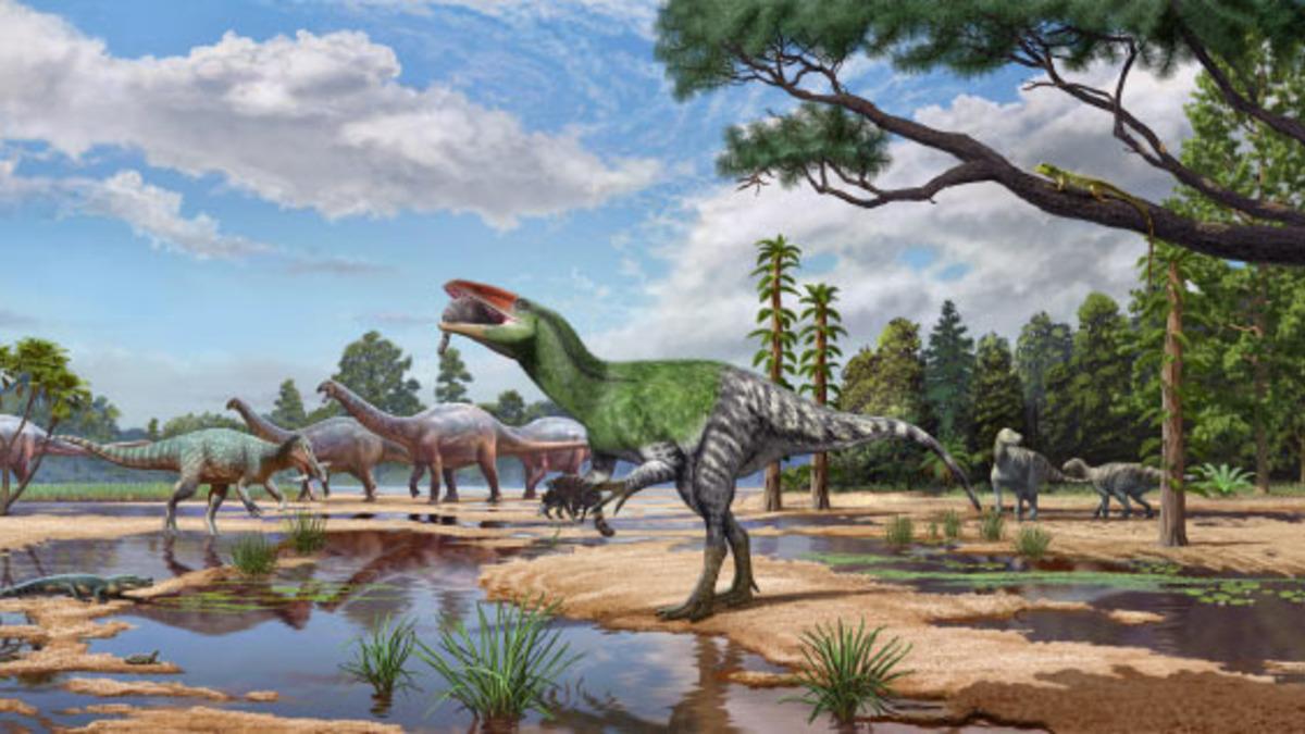 Müzede 100 Yıldır Unutulan Fosil, Yeni Bir Dinozor Türünü Ortaya Çıkardı!