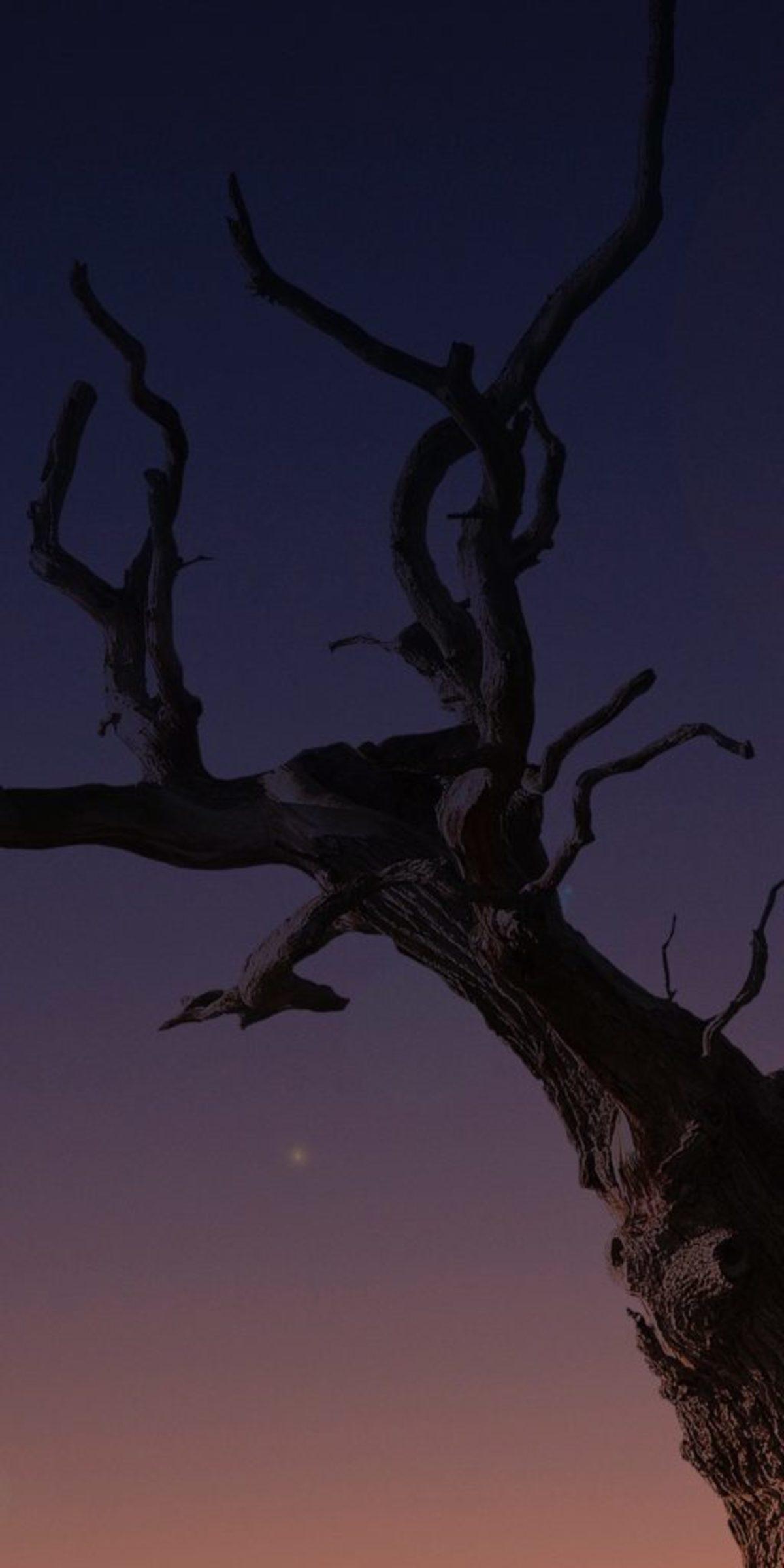 iPhone X İçin Hazırlanmış, Birbirinden Güzel Duvar Kağıtları