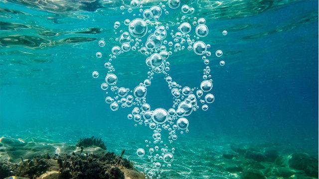 Matematiğe Göre Dünya, 6. Kitlesel Yok Oluşuna Başlayacak!