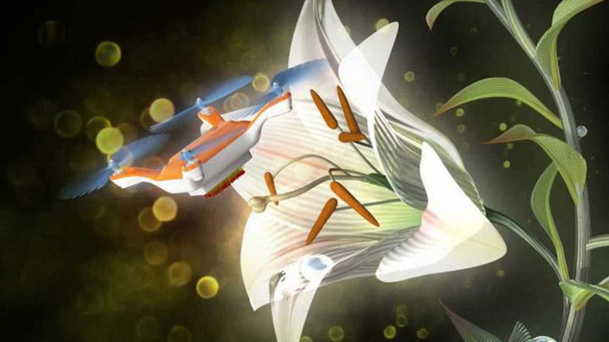 Black Mirror’daki Otonom Arılar Gerçek Oldu!