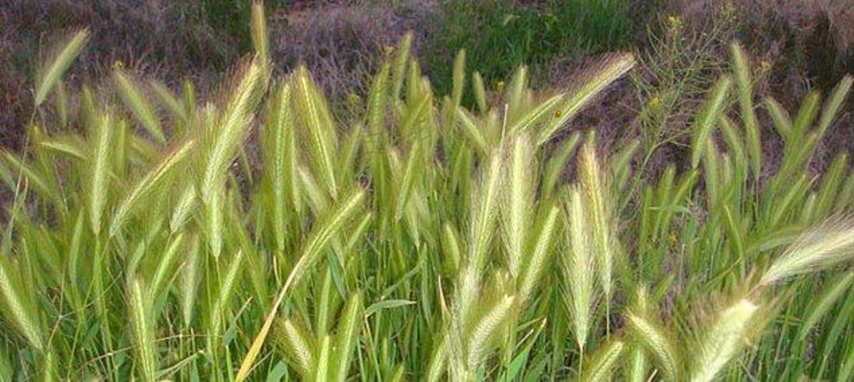 Yalnızca 90’ların ve 2000’lerin Başında Çocuk Olanların Hatırlayacağı 17 An