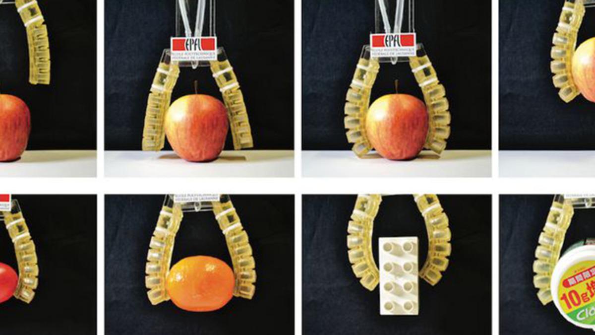 Tamamen Yenilebilir Robot Parmaklar Üretildi: Peki Neden?