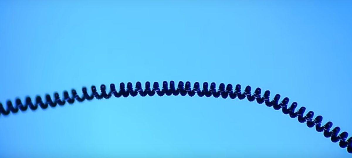 Mikroskopla Baktığınızda Hayretler İçinde Kalacağınız 8 Nesne!