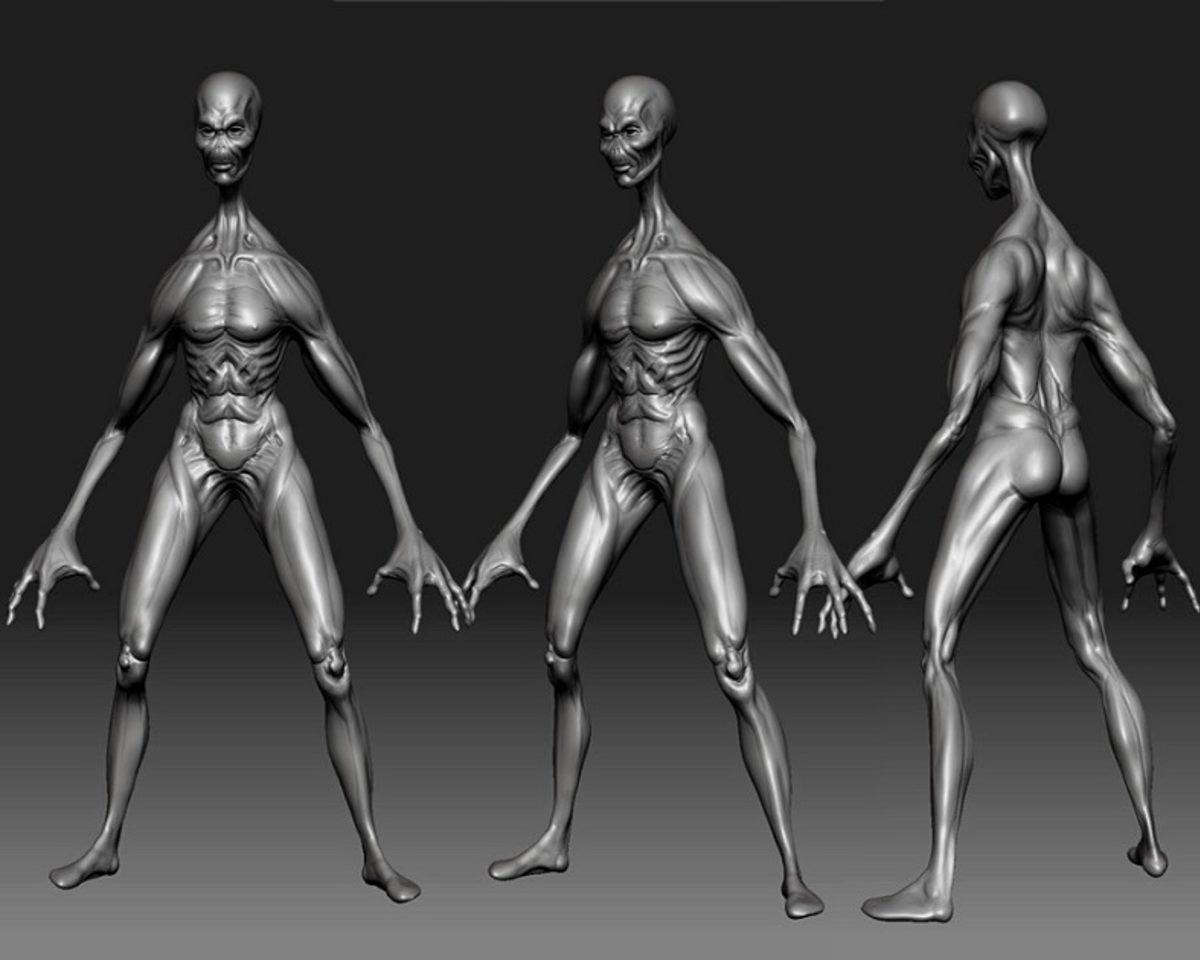 Dünyamıza Hakim Olmak İçin Savaşan 5 ’Uzaylı’ Tür!